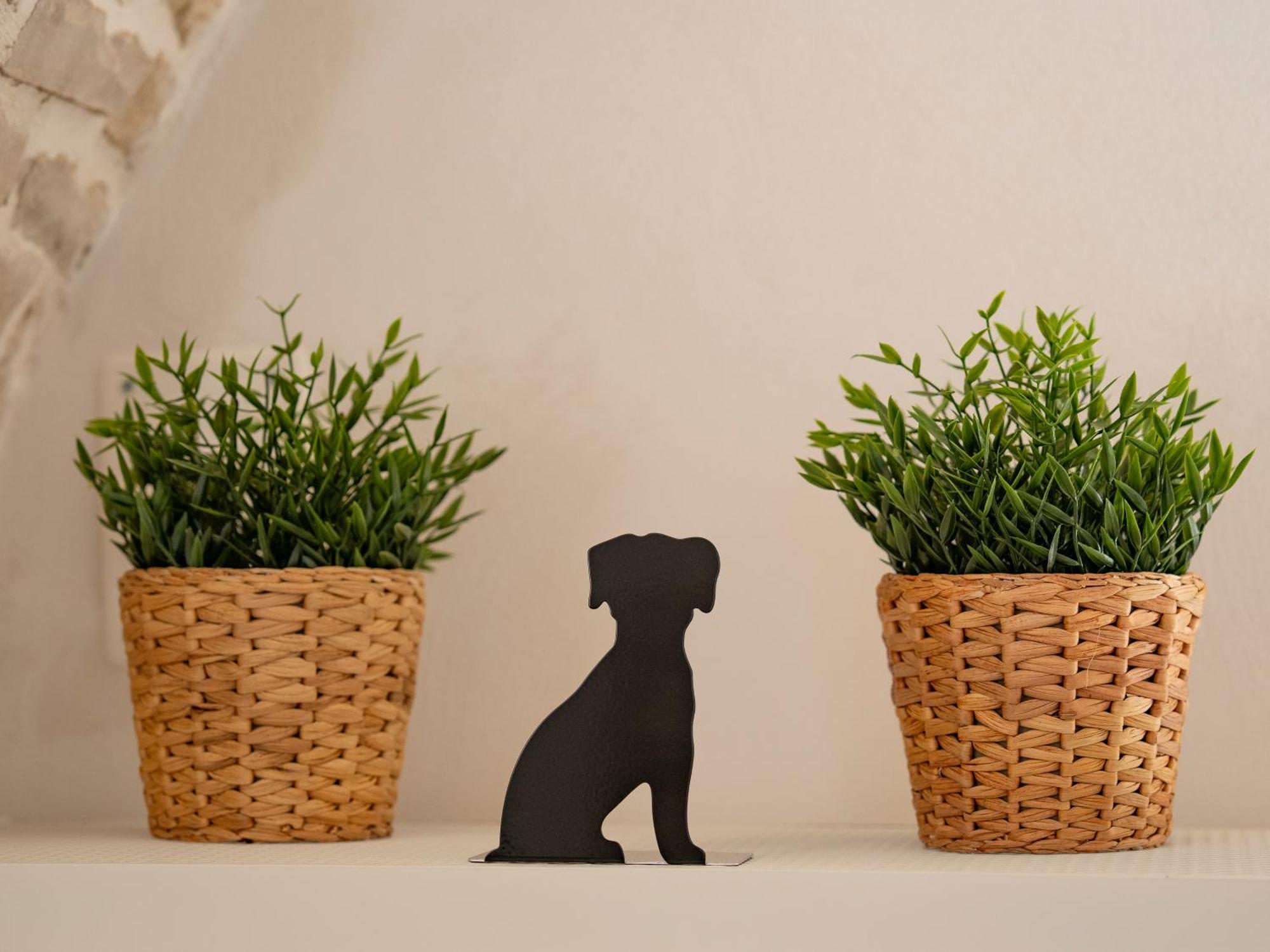 Hotel Dimora Corte Sant Angelo Bitonto Zewnętrze zdjęcie